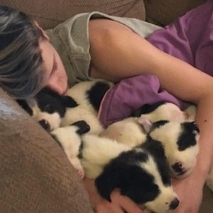 Meet your Posher, Blake